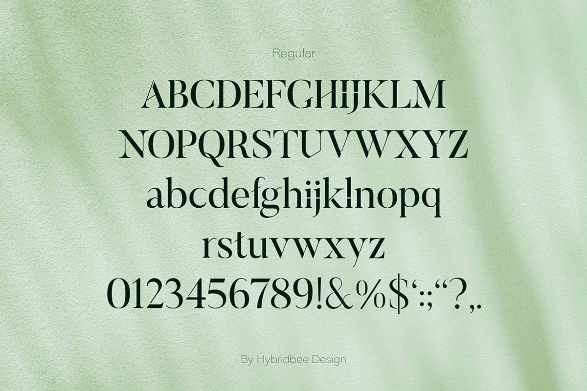 ELAYNE - Display Serif Font, a Serif Font by Hybridbee Design (Photo 3 of 10)