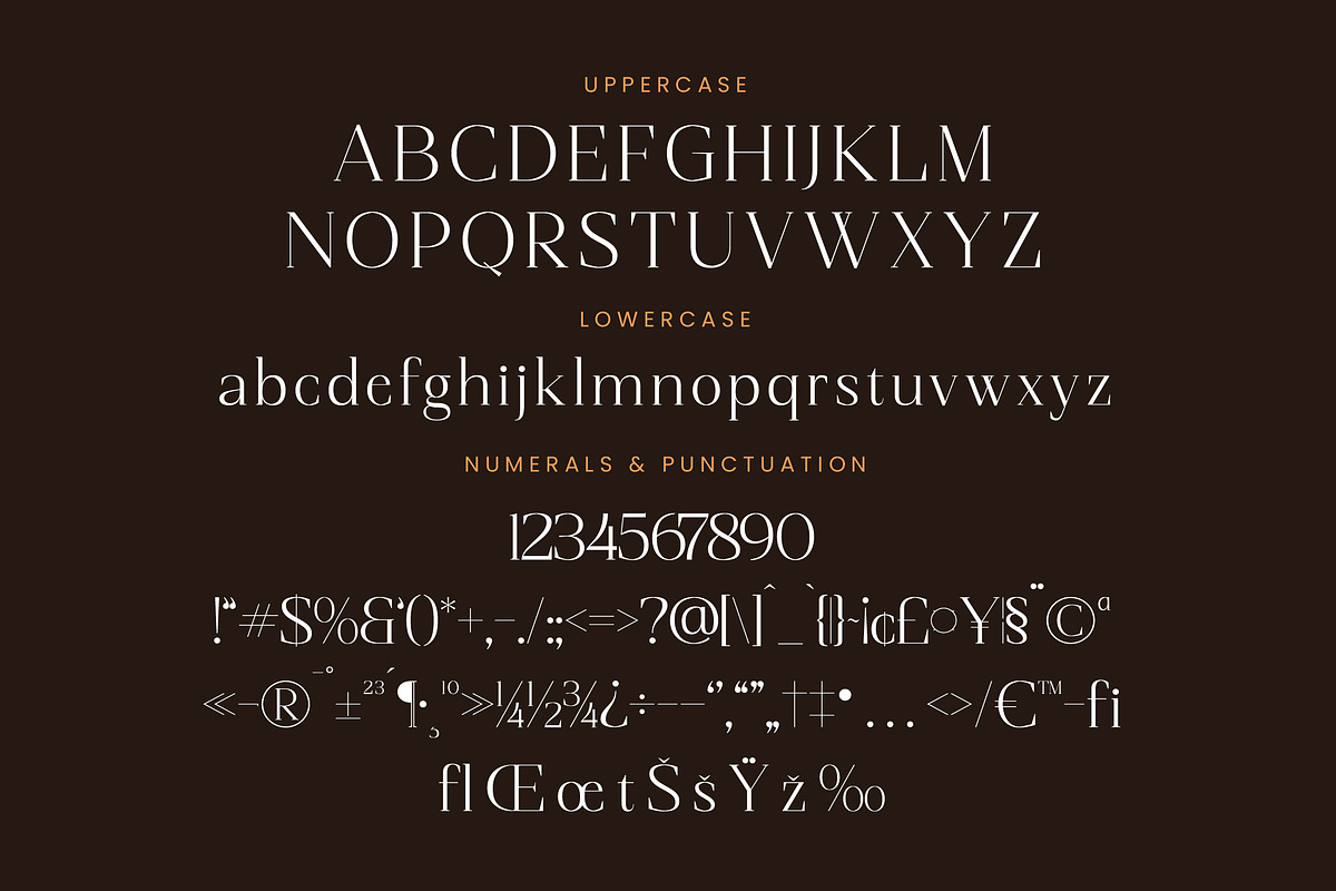 Magnetic Azuhster Minimalist Serif, a Serif Font by Letterena Studios (Photo 13 of 15)