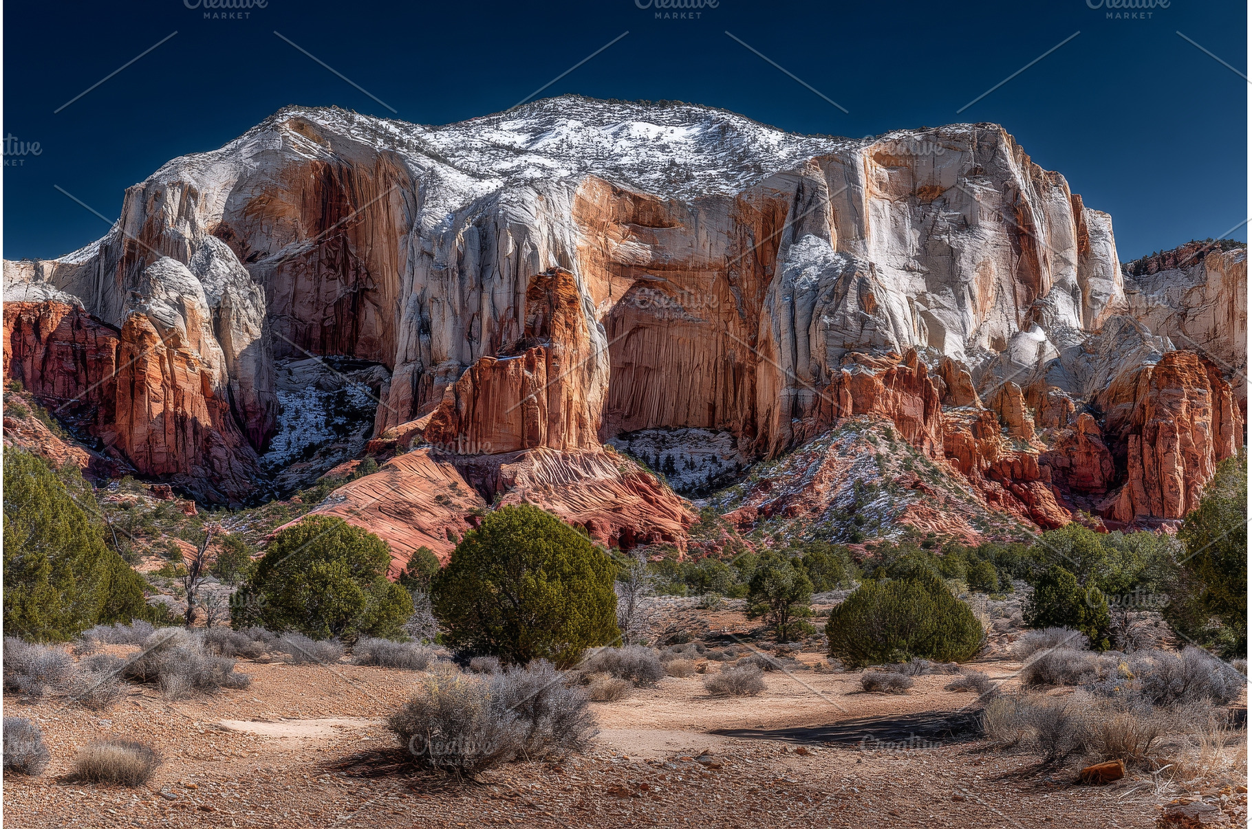 Zion National Park's desert, a Nature Photo by ZinetroN