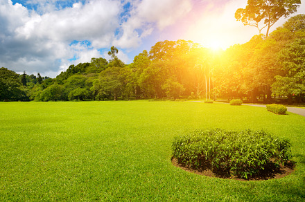Sunrise beam in beautiful park