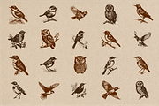 20 Vintage Birds Vector Graphics, a Graphic by Vectorian (Thumbnail 2 of 4)