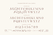 Sunroll - Modern Elegant Serif, a Serif Font by HansCo Studio (Thumbnail 11 of 14)