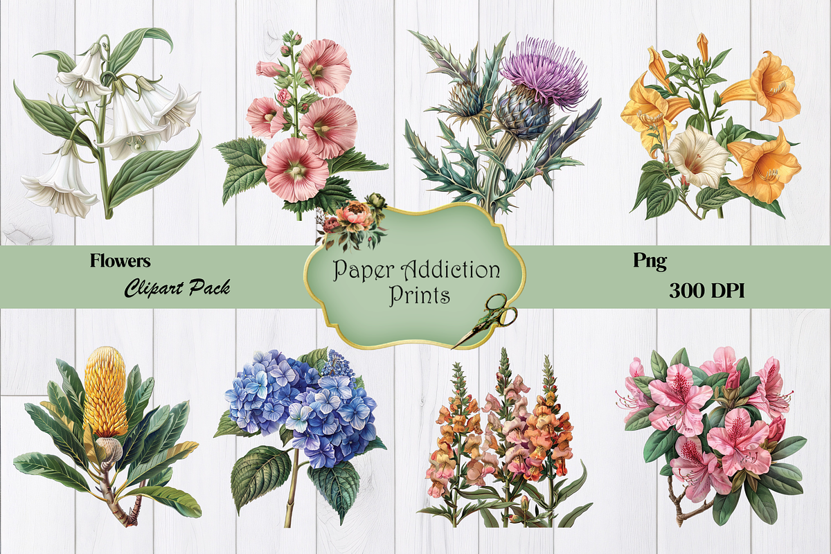 70 Flower Clipart Images, a Decorative Illustration by Paper Addiction Prints (Photo 2 of 10)