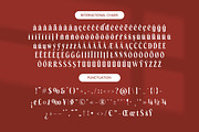 Belagu Modern Display Serif Font, a Serif Font by timelesstype.co (Thumbnail 19 of 20)