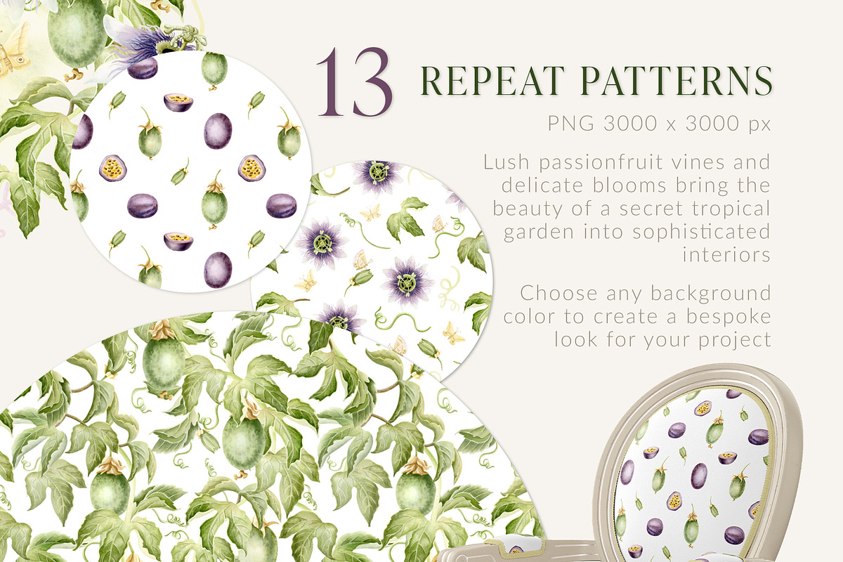 Passion Fruit Watercolor Clip Art, a Food Illustration by Elena Malgina Clipart (Photo 6 of 16)