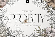 Probity - Creative serif font + more, a Serif Font by VP Fonts (Thumbnail 1 of 22)