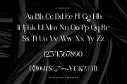 Mirthfind - Modern Branding Typeface, a Serif Font by Sohel Studio (Thumbnail 8 of 10)