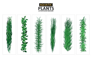 Aquatic Plants Brushes