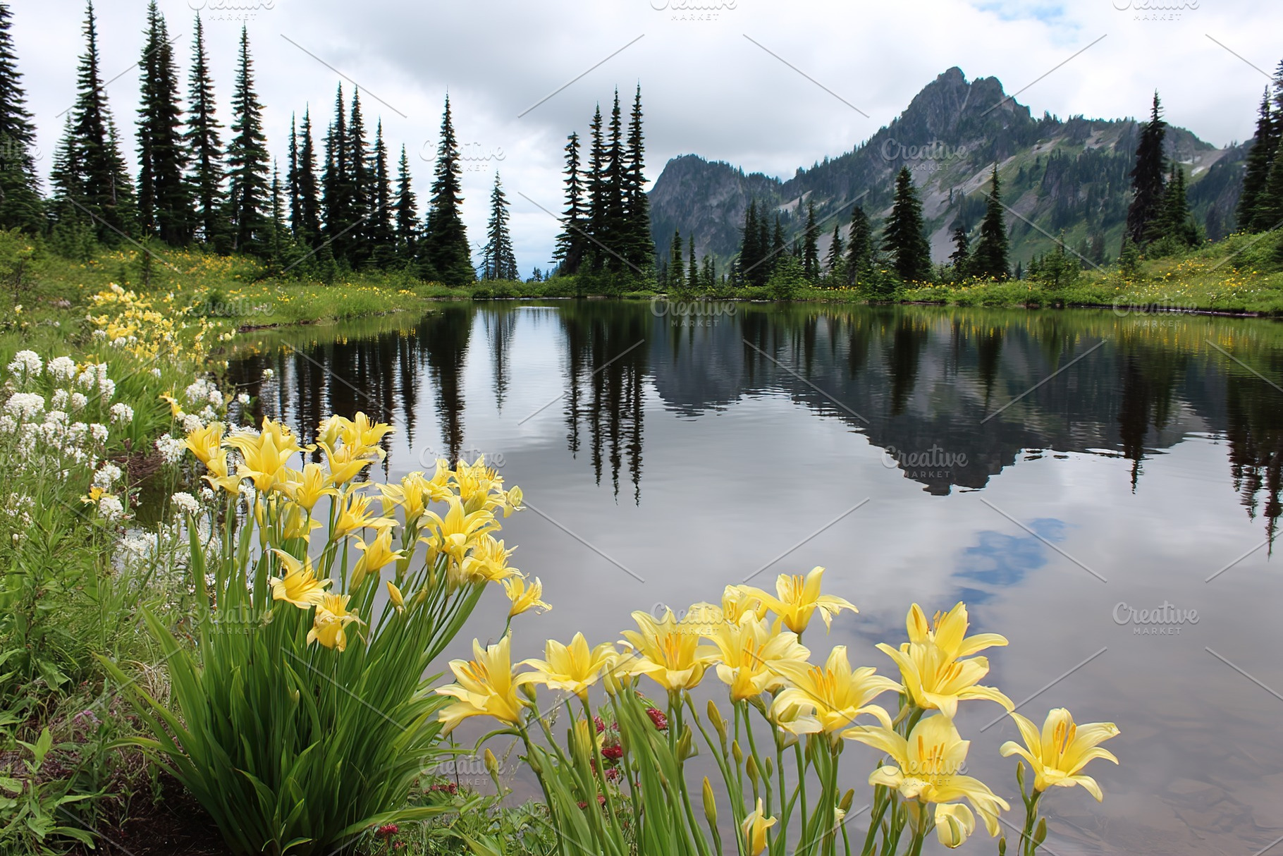 Mountain lake reflecting pine trees and vibrant wildflowers in a serene landsca, a Nature Photo by AlyaAnd