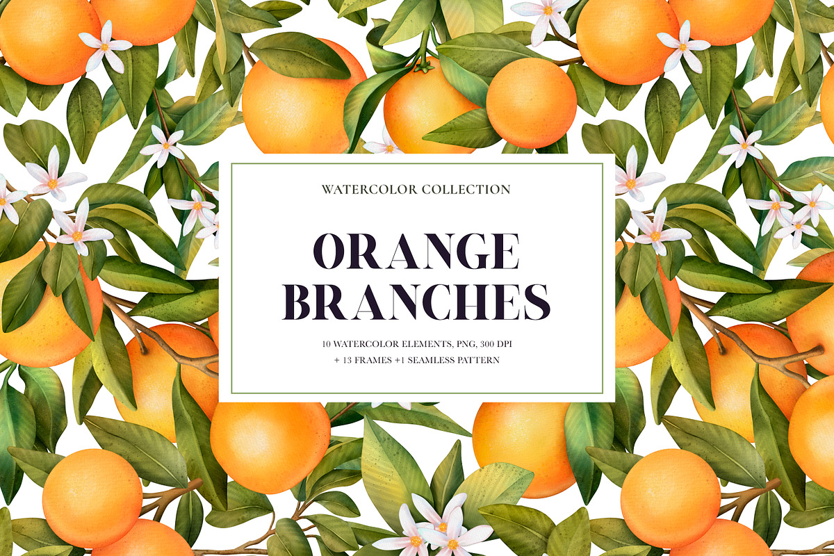 Orange Branches. Watrecolor PNG, an Illustration by OlyaGutArt (Photo 1 of 6)