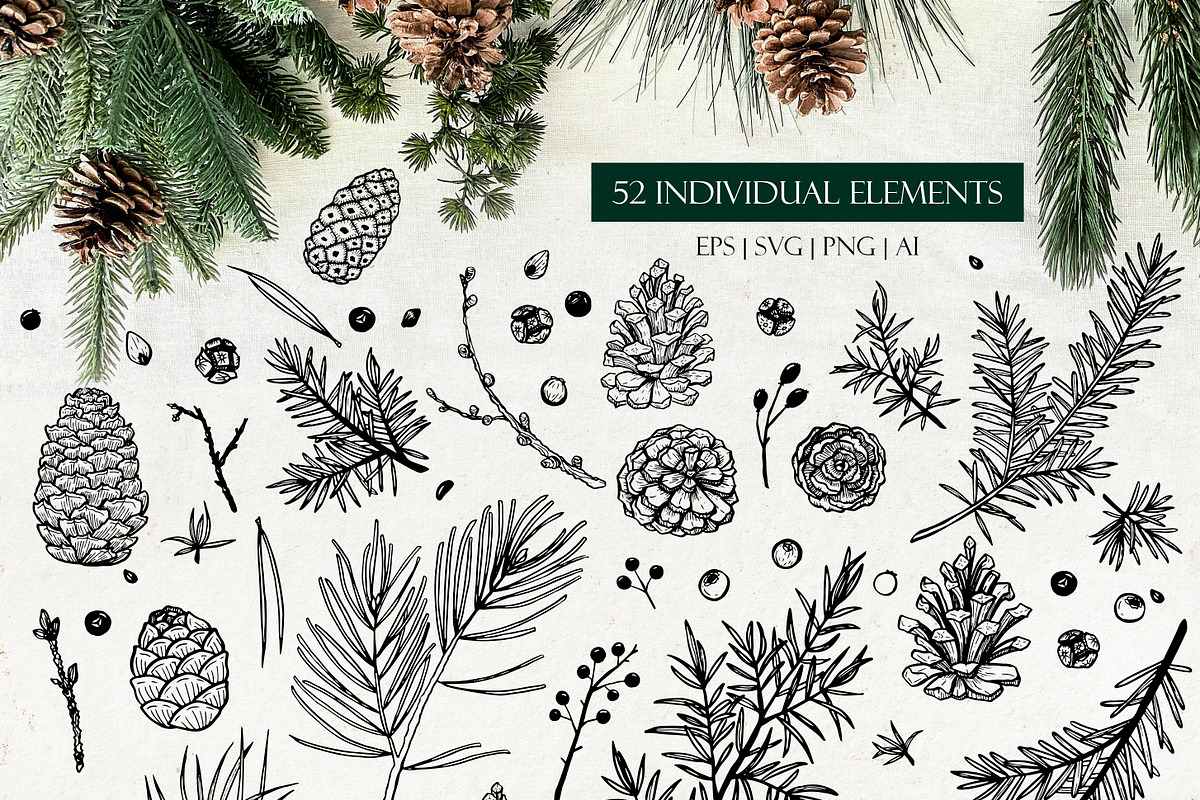 Pine forest line art collection, an Illustration by AfonshinaArt (Photo 8 of 9)