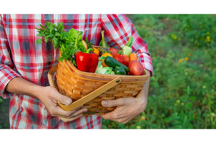 A man farmer holds a harvest of, a Food & Drink Photo by yanadjana