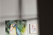 Birds watercolor illustrations, an Animal Illustration by Vero Arts (Thumbnail 9 of 11)
