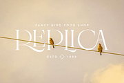Castre - Serif Font Family (Updated), a Serif Font by Nathatype (Thumbnail 6 of 13)