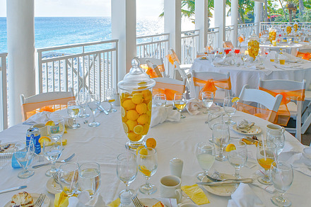 Citrus Brunch 7 preview 6