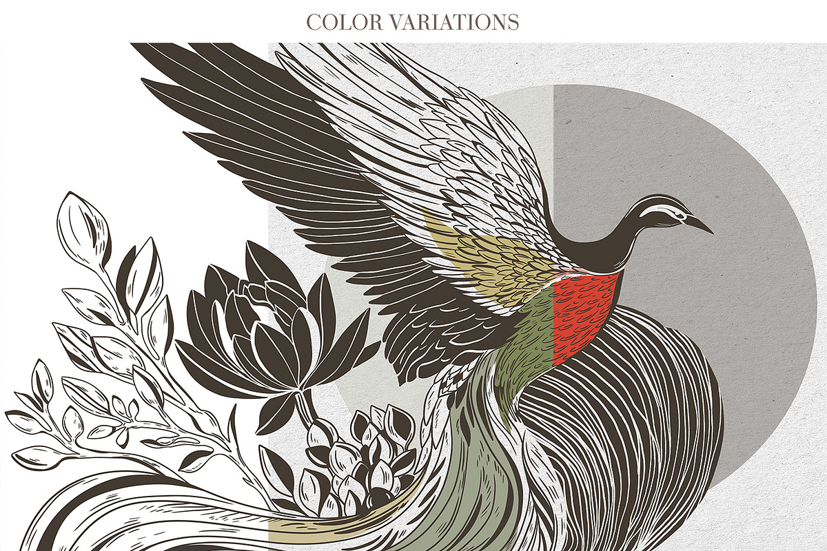 Hand Drawn Digital Wallpaper Phoenix, a Wallpaper Graphic by Nature.Of.Kate (Photo 2 of 11)