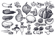 Vegetables and mushrooms., a Food Illustration by MarinaVorontsova (Thumbnail 3 of 10)