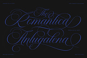 Bailentia Calligraphy, a Script Font by IM Studio (Thumbnail 8 of 10)