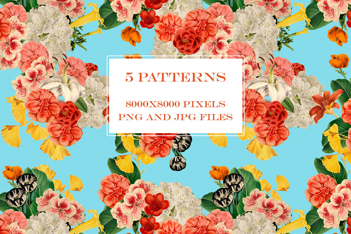 Vintage Summer Flowers Collection, a Pattern Graphic by Chus Moreno Studio (Photo 3 of 17)