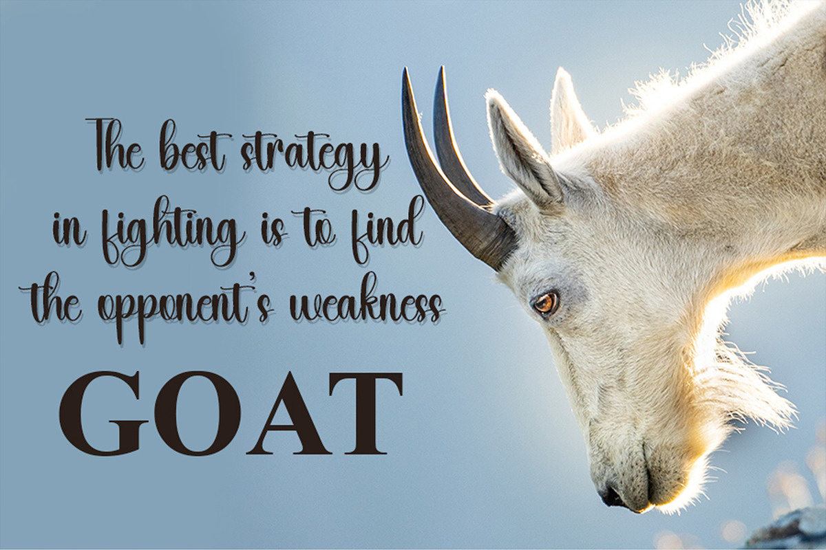 Goat - Script Font, a Script Font by InermediaSTUDIO (Photo 5 of 6)