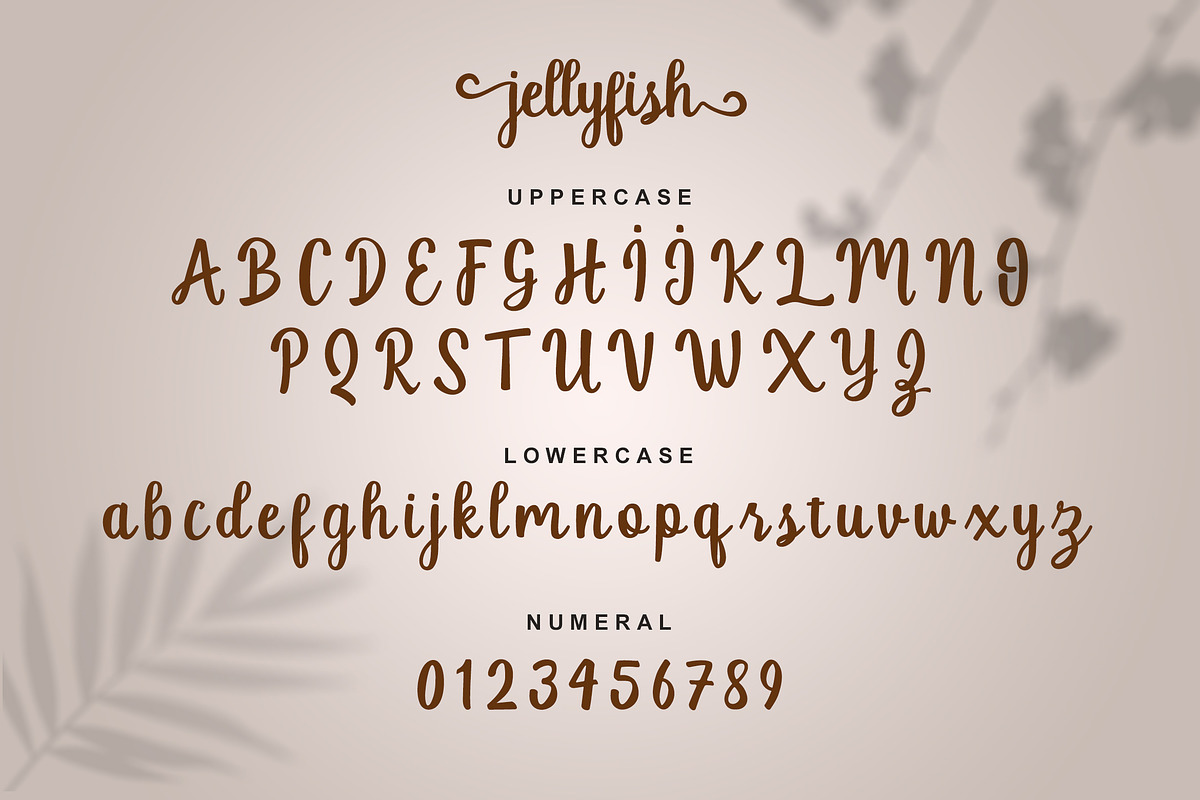 Jellyfish Script preview 7