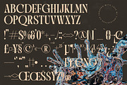 Qulight Modern Serif Display, a Serif Font by timelesstype.co (Thumbnail 18 of 20)