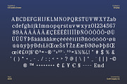 CS Quella Drawn, a Serif Font by Craft Supply Co. (Thumbnail 8 of 8)