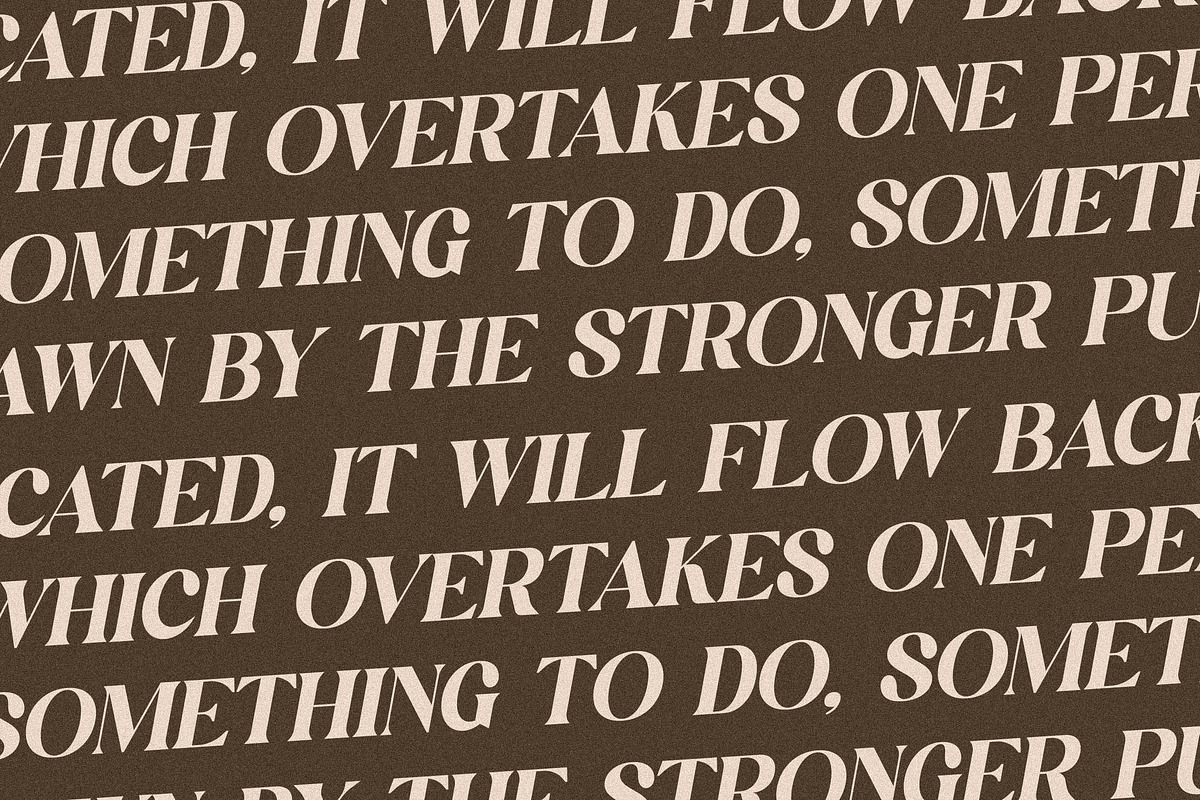 Mogilte Modern Ligature Serif, a Script Font by Storytype Studio (Photo 11 of 15)