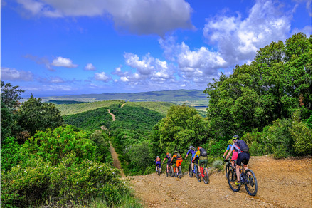 Unrecognisable mountain bikers ride
