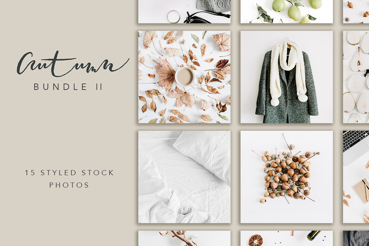 Autumn Bundle 2, a Beauty & Fashion Photo by Floral Deco (Photo 1 of 5)