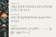 Grapevine - Modern Serif Font, a Serif Font by Cruzine (Thumbnail 6 of 8)