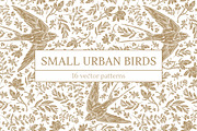Small Urban Birds patterns, a Pattern Graphic by Piñata (Thumbnail 1 of 13)