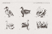 Lakeside Nature Illustrations, an Empty State Illustration by TheMountBirdStudio (Thumbnail 15 of 17)