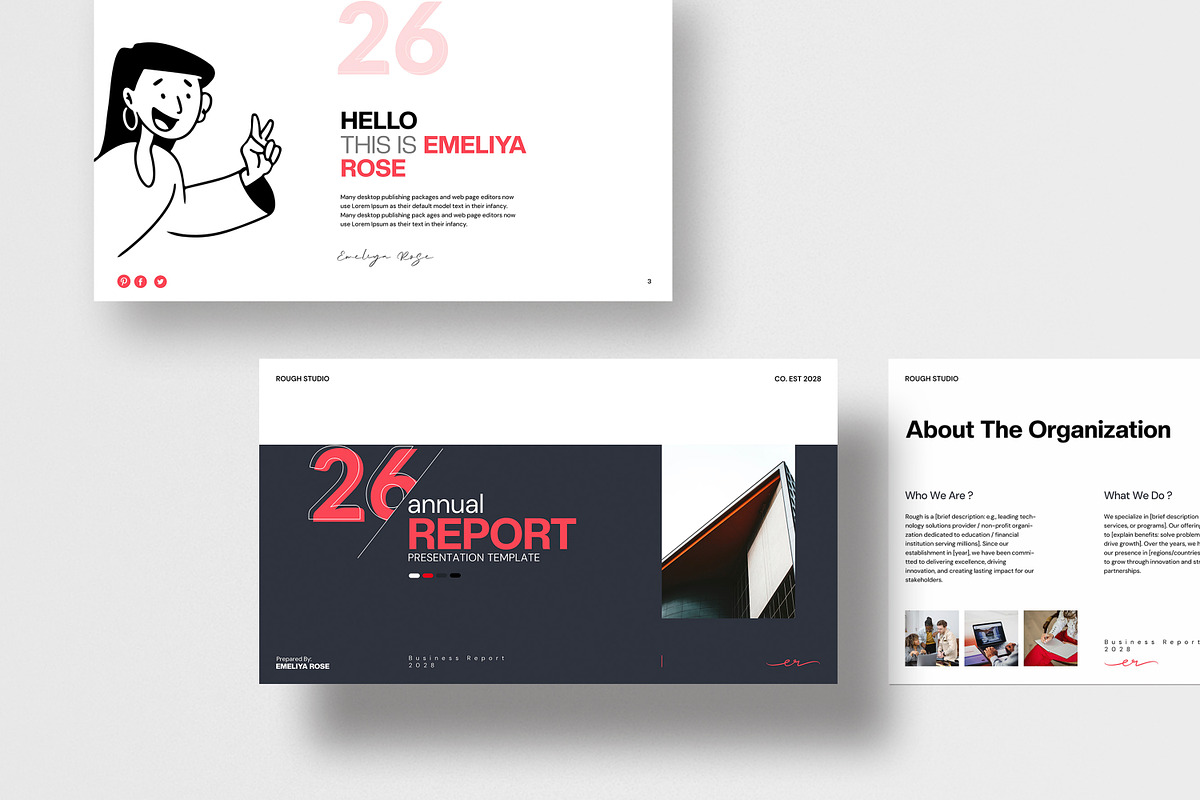 Rough Annual Report Presentation preview 3