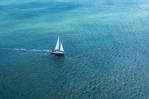 Sailboat gliding through the bay near Golden Gate Bridge, San Fr, a Nature Photo by GoodGoods