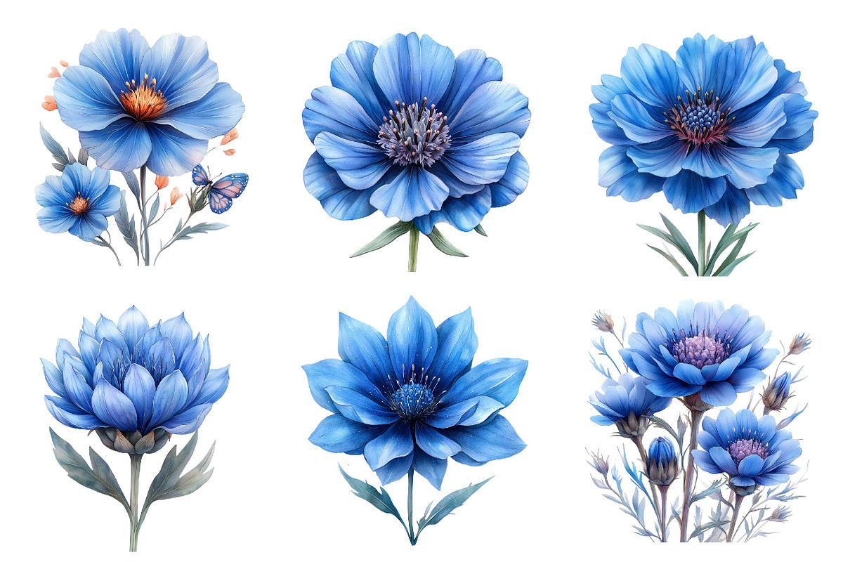 Blue Watercolor Cornflower Clipart, an Illustration by CreationArt (Photo 3 of 5)