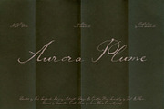 Aurora Plume | Luxury Wedding Font, a Script Font by nadispasibenko (Thumbnail 1 of 9)