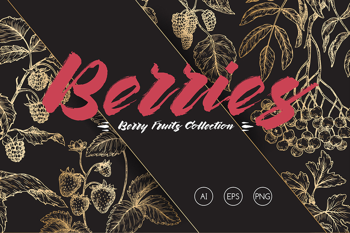 Berry fruits collection, a Food Illustration by Quetzal Art (Photo 1 of 5)