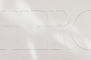 French Voyager - Chic Ligature Serif, a Serif Font by SilverStag Type Foundry (Thumbnail 18 of 23)