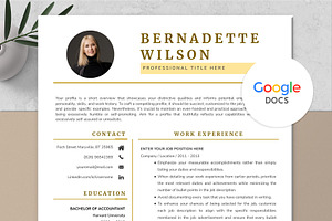 Professional Google Docs Resume CV