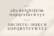 Manila – Modern Elegant Serif Font, a Serif Font by Hamz Studio (Thumbnail 23 of 28)