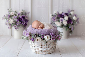 Newborn Basket Digital Backdrop