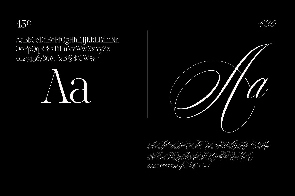 Reichamerina font family, a Serif Font by Ryul Davidson (Photo 14 of 27)