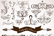 Bundle Labels, Stamps, Calligraphic, a Decorative Illustration by TAlex (Thumbnail 7 of 7)