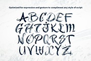 Ruling Pen Pro Procreate Brush Set, a Brush Add-On by Jake Rainis (Thumbnail 3 of 6)