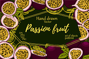 Hand drawn passion fruits, a Food Illustration by Elena Mykhailenko (Thumbnail 1 of 8)