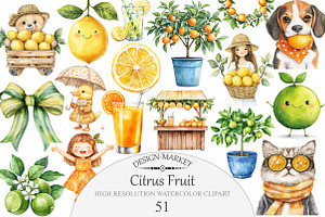 Citrus Fruit Clipart, an Illustration by Design Market