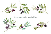 12 Watercolor Olive Branches, an Illustration by Heartmade by Claudia (Thumbnail 3 of 3)