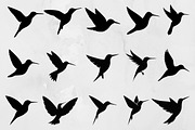 Hummingbird Silhouette SVG, an Animal Illustration by newminddesign (Thumbnail 1 of 5)