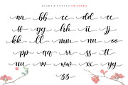 Cattalina - Beauty Font, a Script Font by Good Java Studio (Thumbnail 8 of 9)